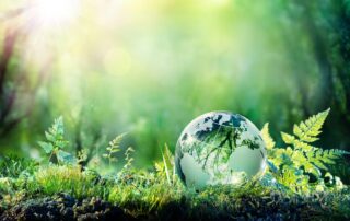 Gläserne Weltkugel im Moos zwischen Farnen im Sonnenlicht